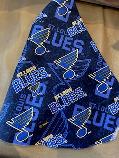 SPORTS_St. Louis BLUES