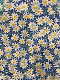 FLORAL_Daisy on Blue